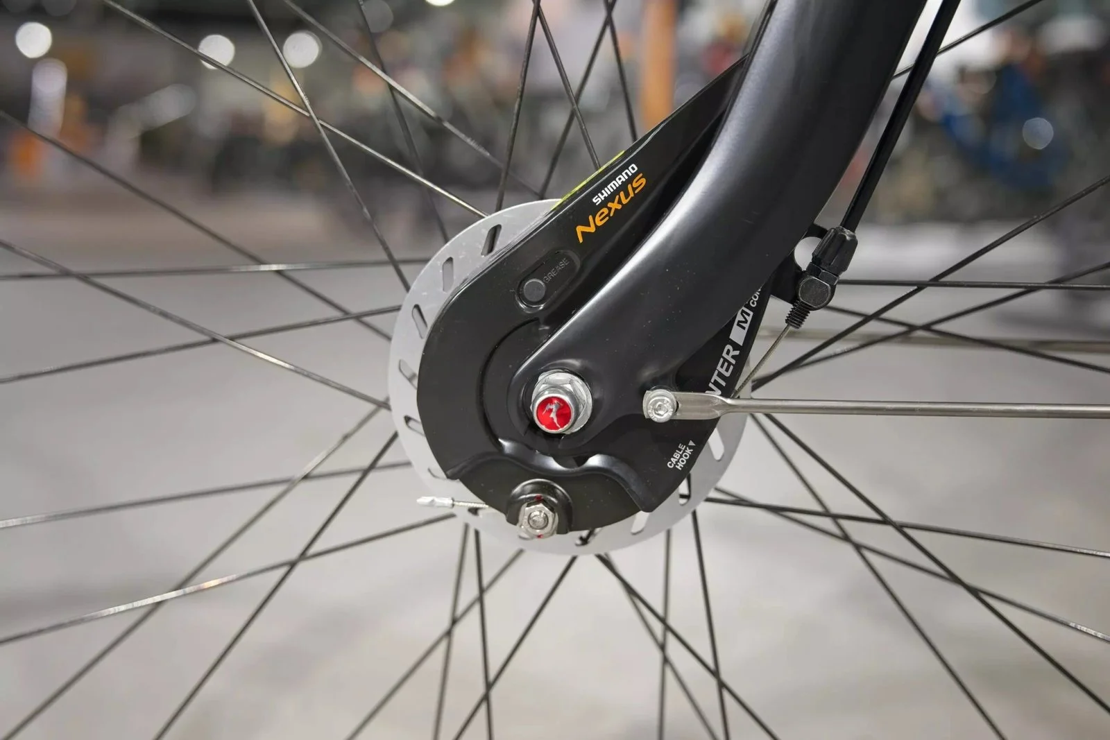 Gazelle Orange C7+ 2026 - Image 3